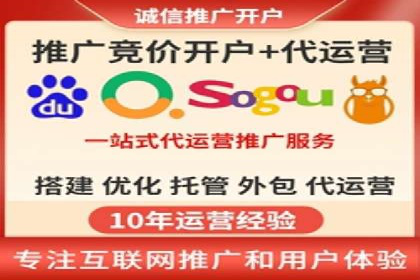 SEM服务公司成功案例解读